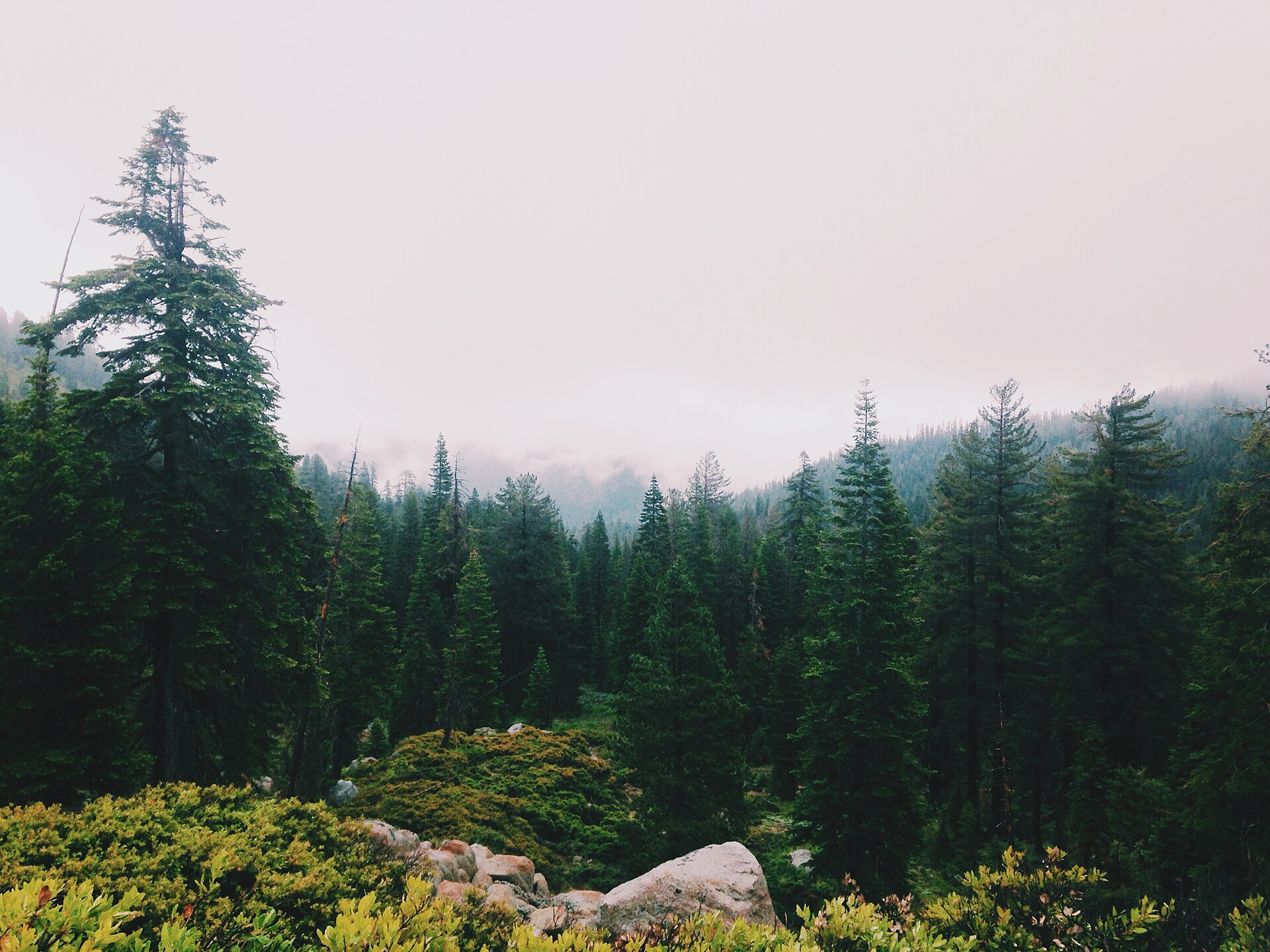 Offen von Tag eins: die FireWatch-Hardware ist Open Source